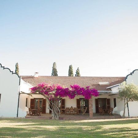 Vesuvio Villa B&B Paarl Exterior photo